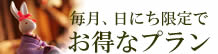 毎月、日にち限定でお得なプラン