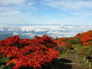 蔵王の紅葉