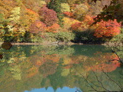 中央高原