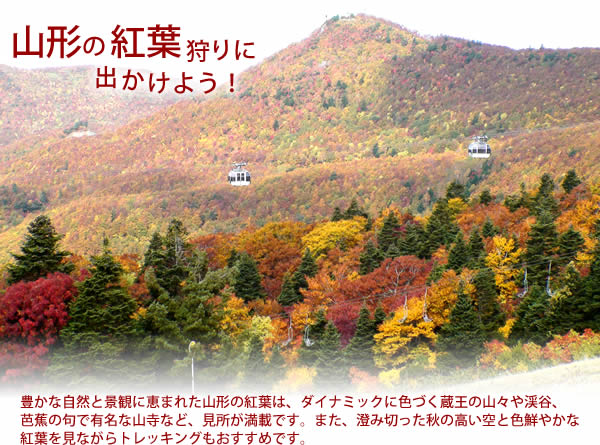 山形の紅葉狩りに出かけよう！